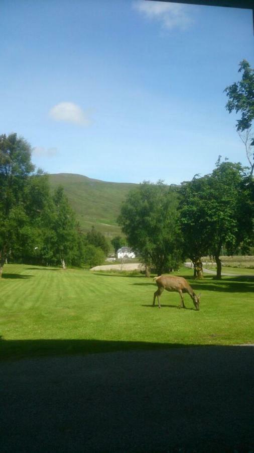 Ledgowan Lodge Hotel Achnasheen Exterior photo
